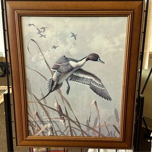 Framed Duck Artwork